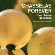 amstein_chasselas_dvd_v3.75_CMYK_vectorBBH copie